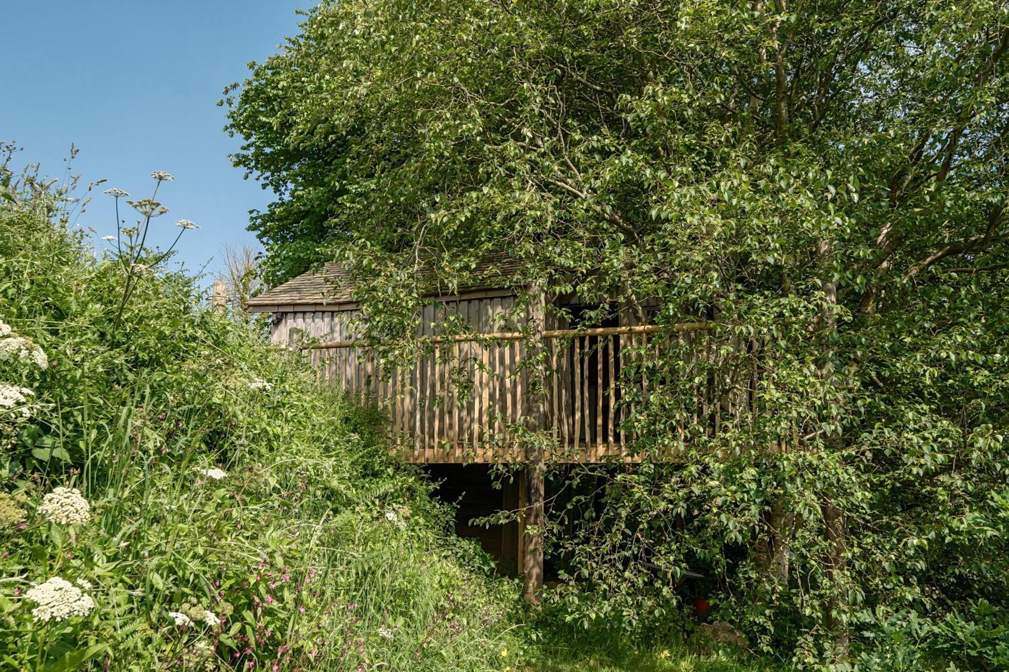 The Treehouse At Salcombe Farm Villa Eksteriør billede