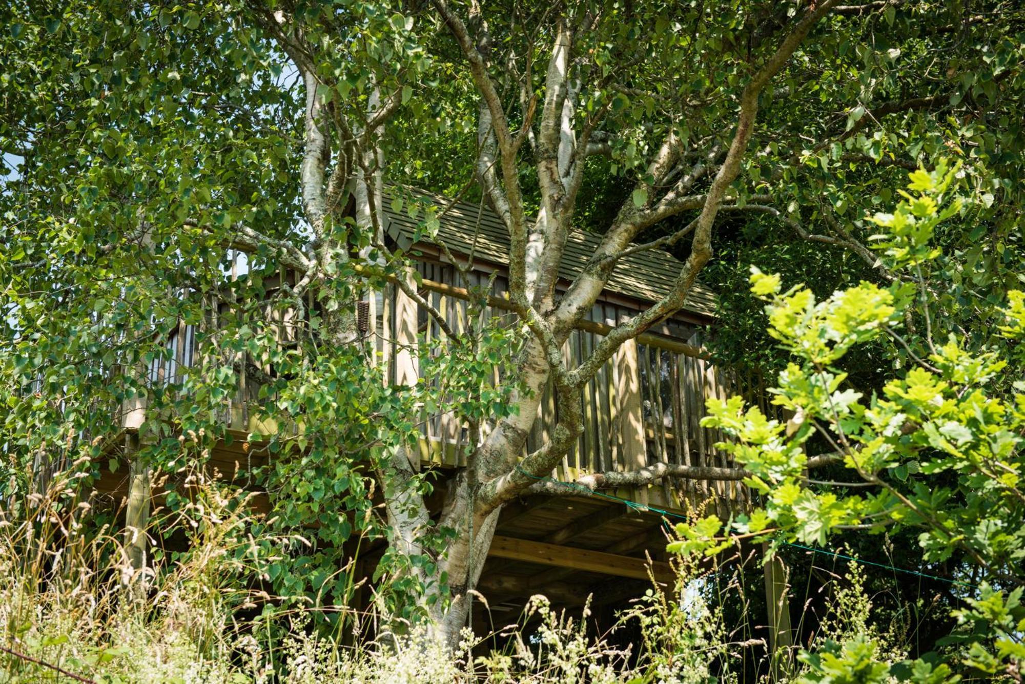 The Treehouse At Salcombe Farm Villa Eksteriør billede